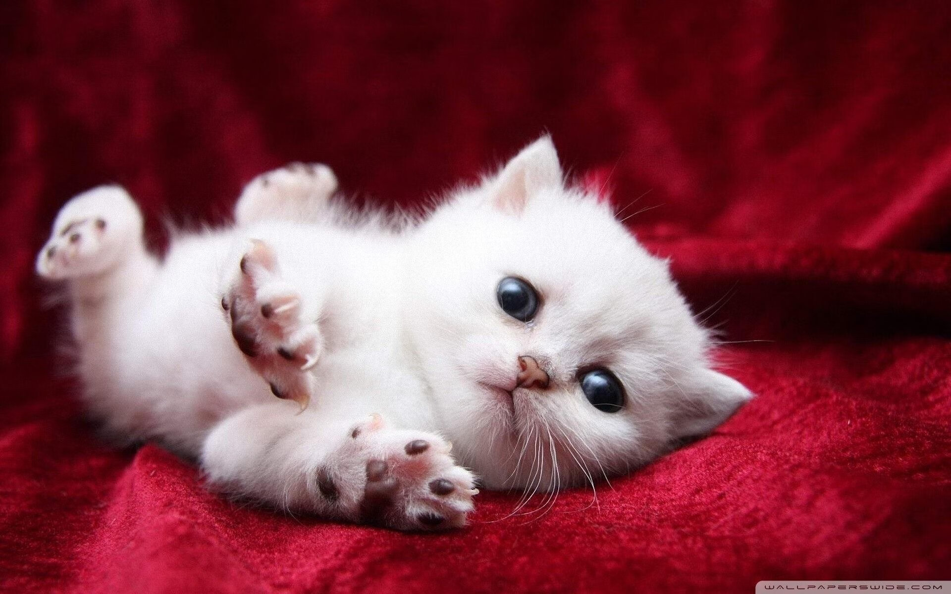 赛季中转折点：影响冠军归属的重要比赛回顾，季中冠军赛奖杯要归还吗