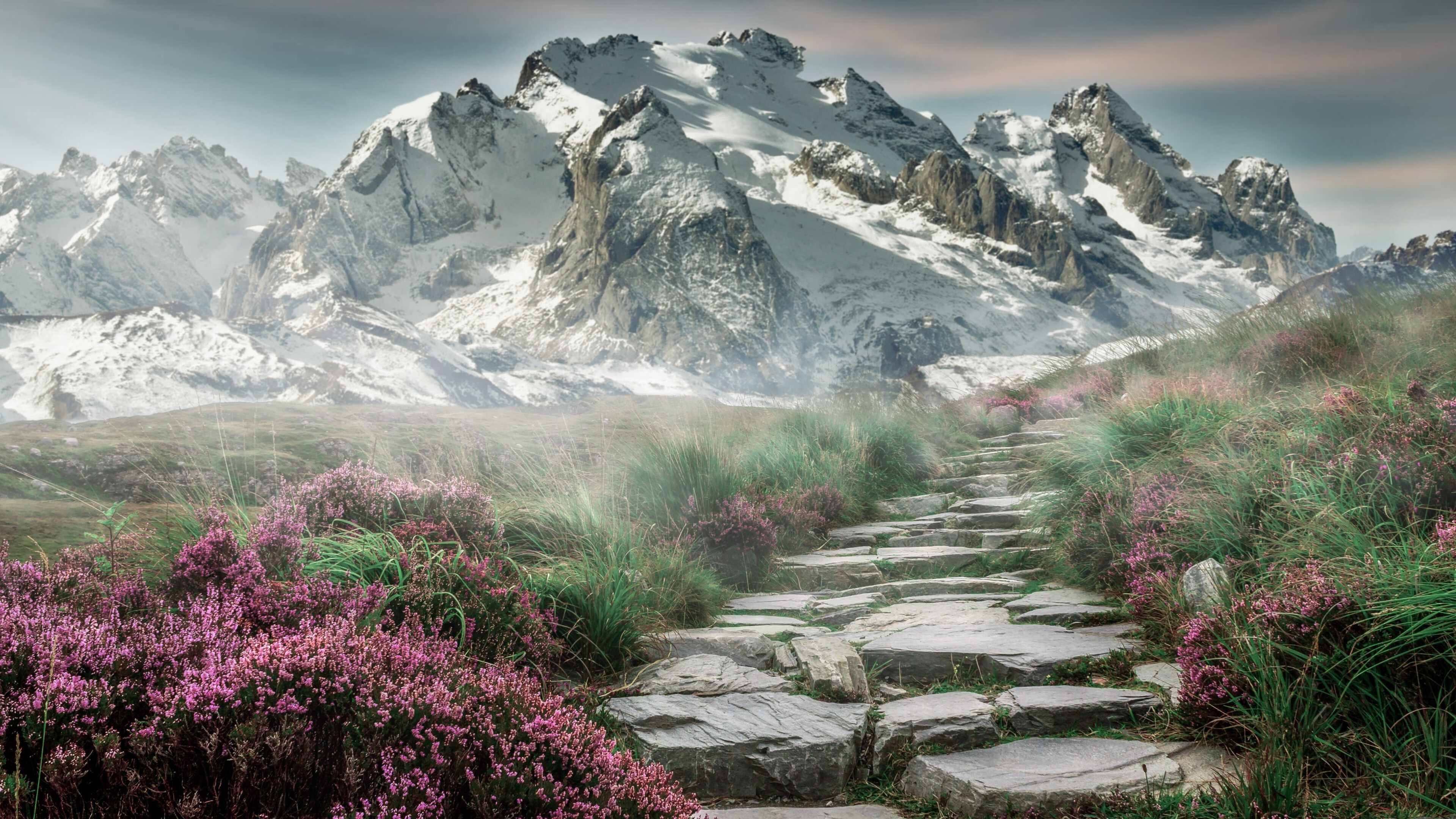 校园足球教师培训平台试点上线,校园足球特色学校教师(教练员)线上培训