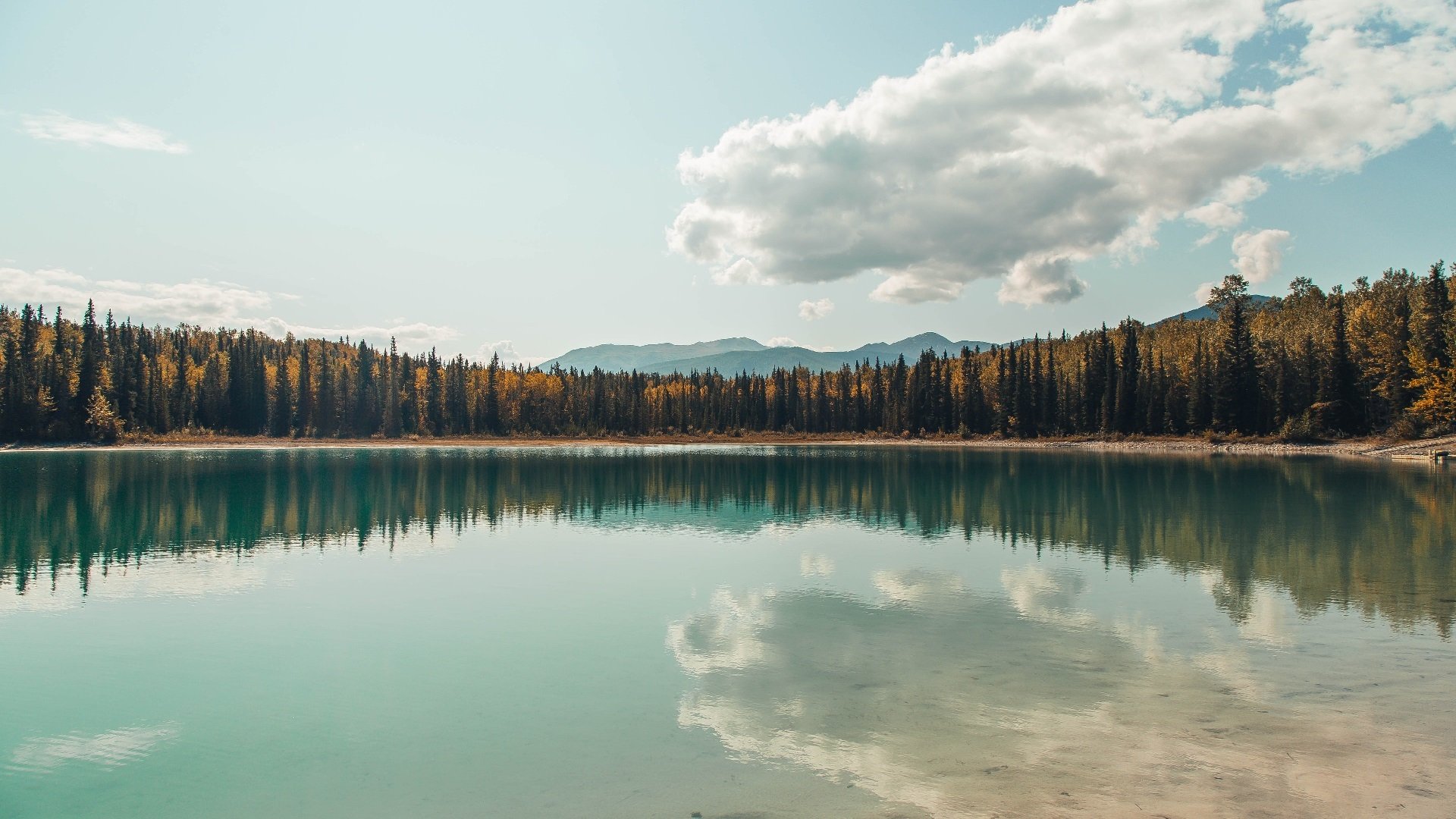 世界杯申办城市竞选激烈,手续逐步推进,世界杯选址规则