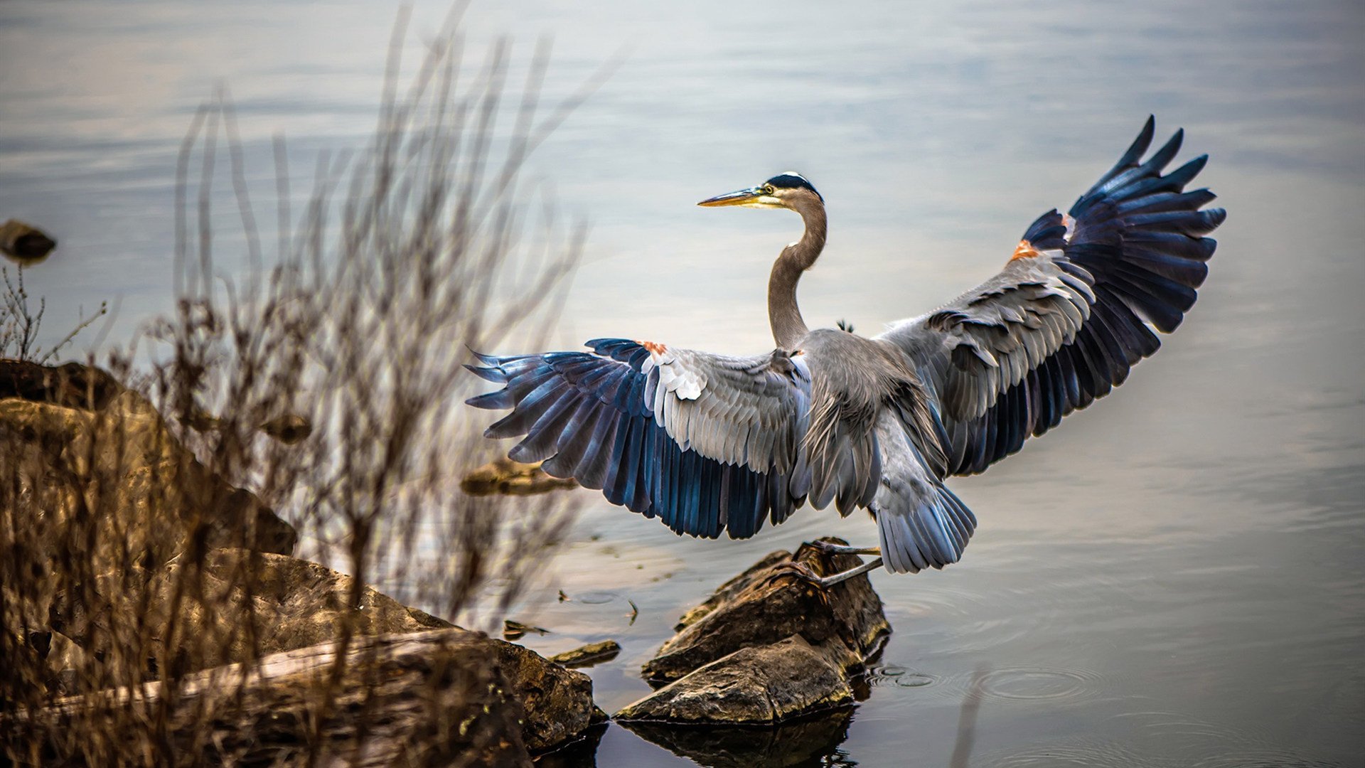 中国男足战平伊朗止住连败，男足中国对伊朗