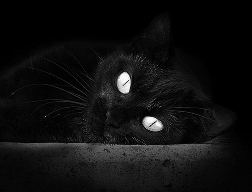 公牛教练带队回顾比赛录像强调攻守切换节奏，公牛教练组